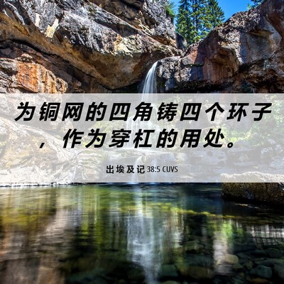 Picture 06 - 出 埃 及 记 38:5 CUVS - 为 铜 网 的 四 角 铸 四 个 环 子 ， - Bible Verse Picture