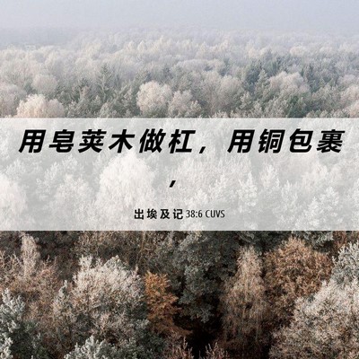 Picture 06 - 出 埃 及 记 38:6 CUVS - 用 皂 荚 木 做 杠 ， 用 铜 包 裹 - Bible Verse Picture
