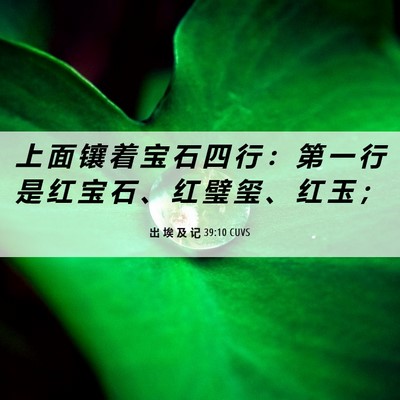 Picture 06 - 出 埃 及 记 39:10 CUVS - 上 面 镶 着 宝 石 四 行 ： 第 一 行 - Bible Verse Picture