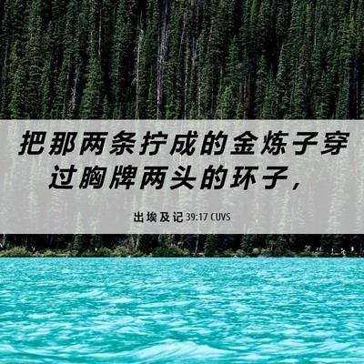 Picture 06 - 出 埃 及 记 39:17 CUVS - 把 那 两 条 拧 成 的 金 炼 子 穿 过 - Bible Verse Picture