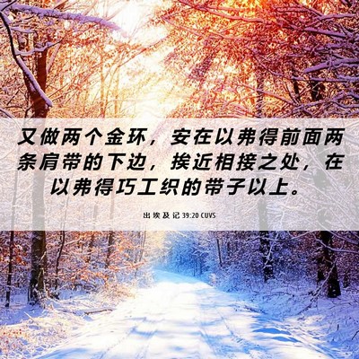 Picture 06 - 出 埃 及 记 39:20 CUVS - 又 做 两 个 金 环 ， 安 在 以 弗 得 - Bible Verse Picture