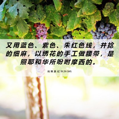 Picture 06 - 出 埃 及 记 39:29 CUVS - 又 用 蓝 色 、 紫 色 、 朱 红 色 线 - Bible Verse Picture
