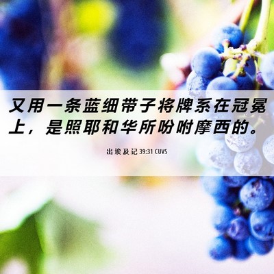 Picture 06 - 出 埃 及 记 39:31 CUVS - 又 用 一 条 蓝 细 带 子 将 牌 系 在 - Bible Verse Picture