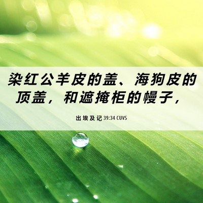 Picture 06 - 出 埃 及 记 39:34 CUVS - 染 红 公 羊 皮 的 盖 、 海 狗 皮 的 - Bible Verse Picture