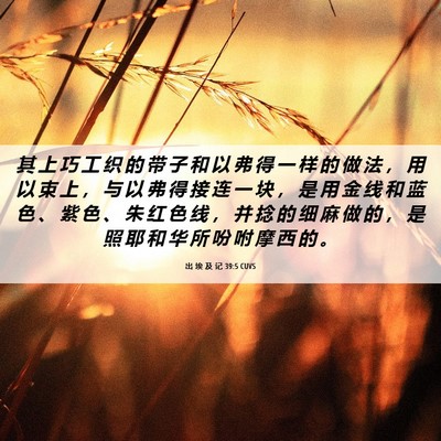 Picture 06 - 出 埃 及 记 39:5 CUVS - 其 上 巧 工 织 的 带 子 和 以 弗 得 - Bible Verse Picture
