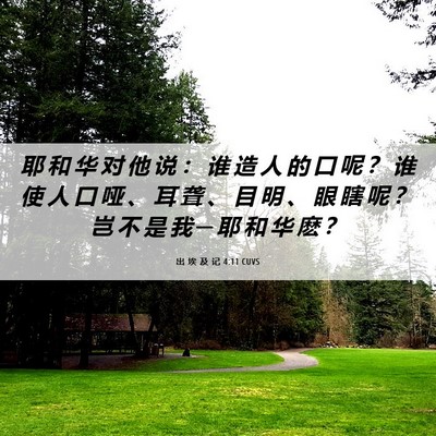 Picture 06 - 出 埃 及 记 4:11 CUVS - 耶 和 华 对 他 说 ： 谁 造 人 的 口 - Bible Verse Picture