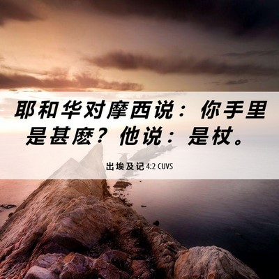 Picture 06 - 出 埃 及 记 4:2 CUVS - 耶 和 华 对 摩 西 说 ： 你 手 里 是 - Bible Verse Picture