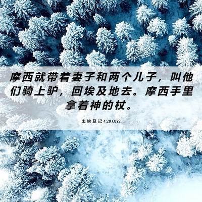 Picture 06 - 出 埃 及 记 4:20 CUVS - 摩 西 就 带 着 妻 子 和 两 个 儿 子 - Bible Verse Picture