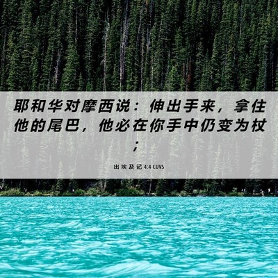 Picture 06 - 出 埃 及 记 4:4 CUVS - 耶 和 华 对 摩 西 说 ： 伸 出 手 来 - Bible Verse Picture