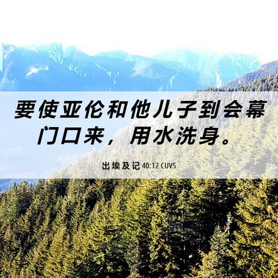 Picture 06 - 出 埃 及 记 40:12 CUVS - 要 使 亚 伦 和 他 儿 子 到 会 幕 门 - Bible Verse Picture