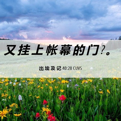 Picture 06 - 出 埃 及 记 40:28 CUVS - 又 挂 上 帐 幕 的 门 ? - Bible Verse Picture