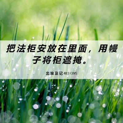 Picture 06 - 出 埃 及 记 40:3 CUVS - 把 法 柜 安 放 在 里 面 ， 用 幔 子 - Bible Verse Picture