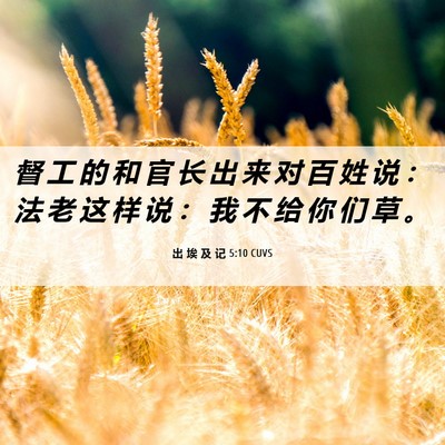 Picture 06 - 出 埃 及 记 5:10 CUVS - 督 工 的 和 官 长 出 来 对 百 姓 说 - Bible Verse Picture