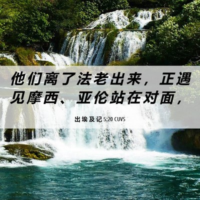 Picture 06 - 出 埃 及 记 5:20 CUVS - 他 们 离 了 法 老 出 来 ， 正 遇 见 - Bible Verse Picture