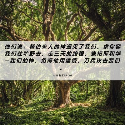 Picture 06 - 出 埃 及 记 5:3 CUVS - 他 们 说 ： 希 伯 来 人 的 神 遇 见 - Bible Verse Picture