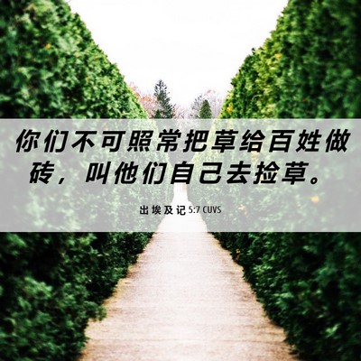 Picture 06 - 出 埃 及 记 5:7 CUVS - 你 们 不 可 照 常 把 草 给 百 姓 做 - Bible Verse Picture