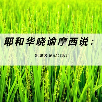 Picture 06 - 出 埃 及 记 6:10 CUVS - 耶 和 华 晓 谕 摩 西 说 - Bible Verse Picture