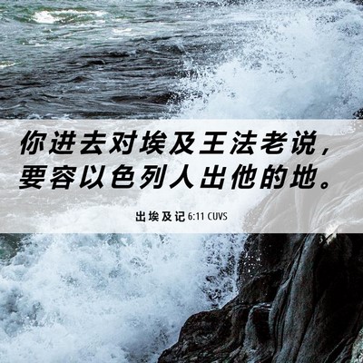 Picture 06 - 出 埃 及 记 6:11 CUVS - 你 进 去 对 埃 及 王 法 老 说 ， 要 - Bible Verse Picture