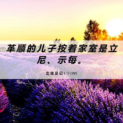 Picture 06 - 出 埃 及 记 6:17 CUVS - 革 顺 的 儿 子 按 着 家 室 是 立 尼 - Bible Verse Picture