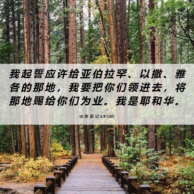 Picture 06 - 出 埃 及 记 6:8 CUVS - 我 起 誓 应 许 给 亚 伯 拉 罕 、 以 - Bible Verse Picture