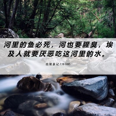 Picture 06 - 出 埃 及 记 7:18 CUVS - 河 里 的 鱼 必 死 ， 河 也 要 腥 臭 - Bible Verse Picture