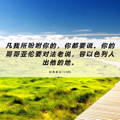 Picture 06 - 出 埃 及 记 7:2 CUVS - 凡 我 所 吩 咐 你 的 ， 你 都 要 说 - Bible Verse Picture