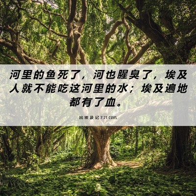 Picture 06 - 出 埃 及 记 7:21 CUVS - 河 里 的 鱼 死 了 ， 河 也 腥 臭 了 - Bible Verse Picture