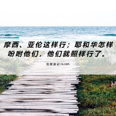 Picture 06 - 出 埃 及 记 7:6 CUVS - 摩 西 、 亚 伦 这 样 行 ； 耶 和 华 - Bible Verse Picture