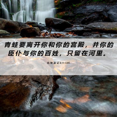 Picture 06 - 出 埃 及 记 8:11 CUVS - 青 蛙 要 离 开 你 和 你 的 宫 殿 ， - Bible Verse Picture