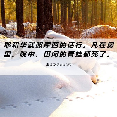 Picture 06 - 出 埃 及 记 8:13 CUVS - 耶 和 华 就 照 摩 西 的 话 行 。 凡 - Bible Verse Picture