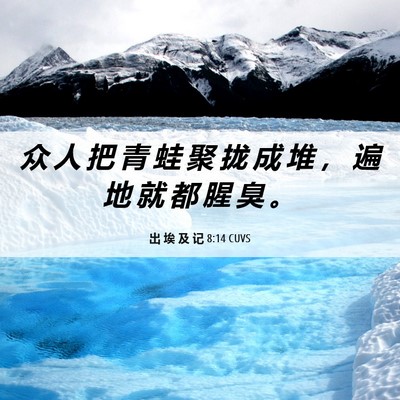 Picture 06 - 出 埃 及 记 8:14 CUVS - 众 人 把 青 蛙 聚 拢 成 堆 ， 遍 地 - Bible Verse Picture