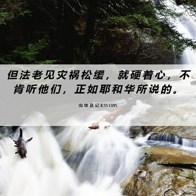 Picture 06 - 出 埃 及 记 8:15 CUVS - 但 法 老 见 灾 祸 松 缓 ， 就 硬 着 - Bible Verse Picture