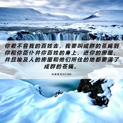 Picture 06 - 出 埃 及 记 8:21 CUVS - 你 若 不 容 我 的 百 姓 去 ， 我 要 - Bible Verse Picture