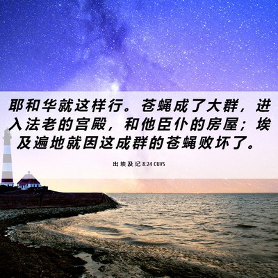 Picture 06 - 出 埃 及 记 8:24 CUVS - 耶 和 华 就 这 样 行 。 苍 蝇 成 了 - Bible Verse Picture