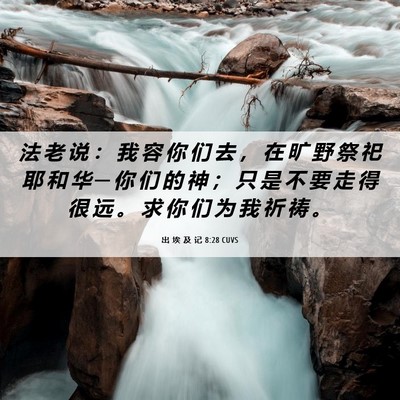 Picture 06 - 出 埃 及 记 8:28 CUVS - 法 老 说 ： 我 容 你 们 去 ， 在 旷 - Bible Verse Picture