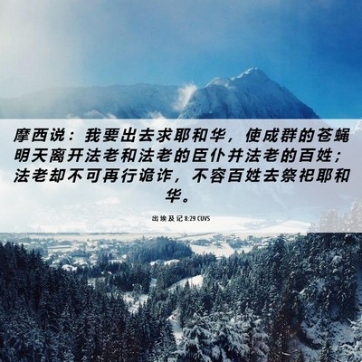 Picture 06 - 出 埃 及 记 8:29 CUVS - 摩 西 说 ： 我 要 出 去 求 耶 和 华 - Bible Verse Picture