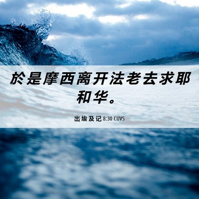 Picture 06 - 出 埃 及 记 8:30 CUVS - 於 是 摩 西 离 开 法 老 去 求 耶 和 - Bible Verse Picture