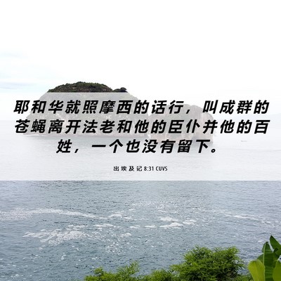 Picture 06 - 出 埃 及 记 8:31 CUVS - 耶 和 华 就 照 摩 西 的 话 行 ， 叫 - Bible Verse Picture