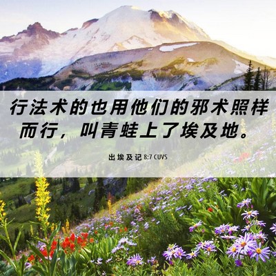 Picture 06 - 出 埃 及 记 8:7 CUVS - 行 法 术 的 也 用 他 们 的 邪 术 照 - Bible Verse Picture