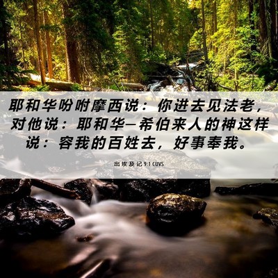 Picture 06 - 出 埃 及 记 9:1 CUVS - 耶 和 华 吩 咐 摩 西 说 ： 你 进 去 - Bible Verse Picture