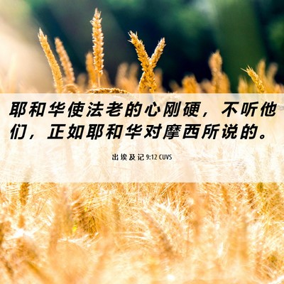 Picture 06 - 出 埃 及 记 9:12 CUVS - 耶 和 华 使 法 老 的 心 刚 硬 ， 不 - Bible Verse Picture