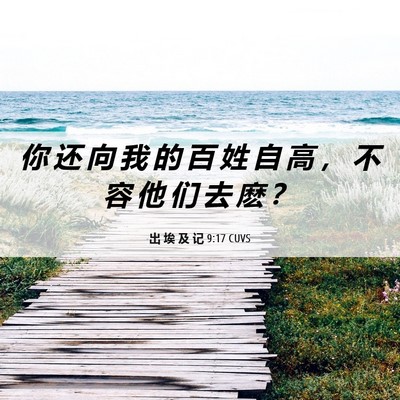 Picture 06 - 出 埃 及 记 9:17 CUVS - 你 还 向 我 的 百 姓 自 高 ， 不 容 - Bible Verse Picture