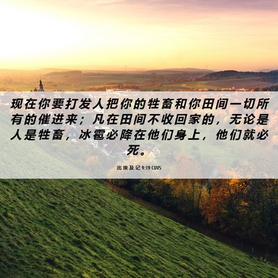 Picture 06 - 出 埃 及 记 9:19 CUVS - 现 在 你 要 打 发 人 把 你 的 牲 畜 - Bible Verse Picture