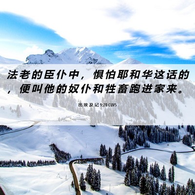 Picture 06 - 出 埃 及 记 9:20 CUVS - 法 老 的 臣 仆 中 ， 惧 怕 耶 和 华 - Bible Verse Picture