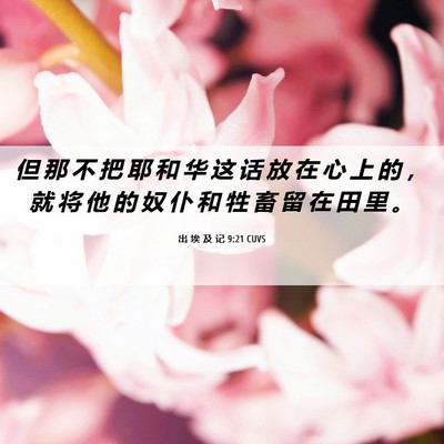 Picture 06 - 出 埃 及 记 9:21 CUVS - 但 那 不 把 耶 和 华 这 话 放 在 心 - Bible Verse Picture