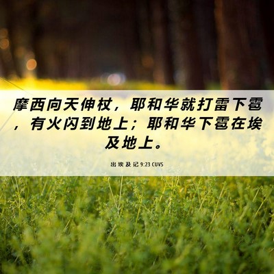 Picture 06 - 出 埃 及 记 9:23 CUVS - 摩 西 向 天 伸 杖 ， 耶 和 华 就 打 - Bible Verse Picture