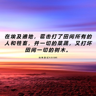 Picture 06 - 出 埃 及 记 9:25 CUVS - 在 埃 及 遍 地 ， 雹 击 打 了 田 间 - Bible Verse Picture