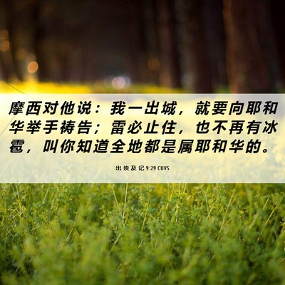 Picture 06 - 出 埃 及 记 9:29 CUVS - 摩 西 对 他 说 ： 我 一 出 城 ， 就 - Bible Verse Picture