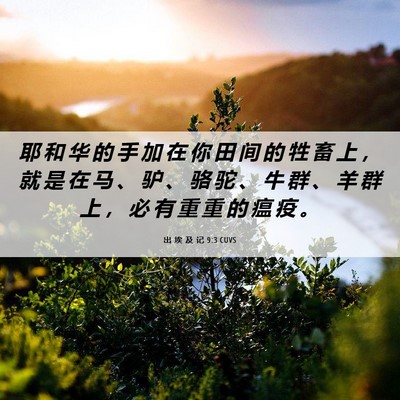 Picture 06 - 出 埃 及 记 9:3 CUVS - 耶 和 华 的 手 加 在 你 田 间 的 牲 - Bible Verse Picture