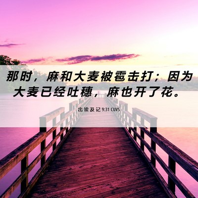 Picture 06 - 出 埃 及 记 9:31 CUVS - 那 时 ， 麻 和 大 麦 被 雹 击 打 ； - Bible Verse Picture
